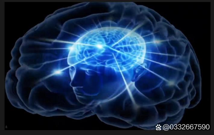 某男星健身日常肌肉照合集